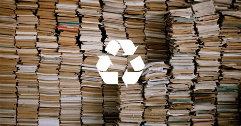 what to do with old college books: Should we preserve them or recycle them?